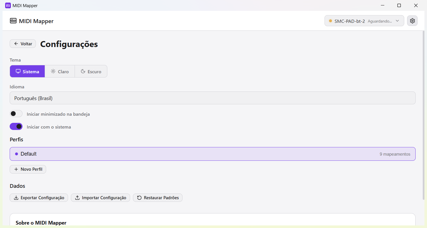 Tela de configurações mostrando seleção de tema, idioma, gerenciamento de perfis e opções de exportação